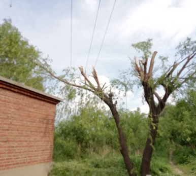 電氣事故引發(fā)加州山火，據(jù)說這個裝置可以避免事故發(fā)生！