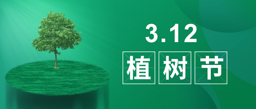 3.12植樹節(jié)|除了植樹，我們還能做什么？